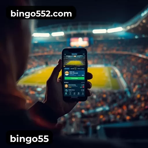 bingo55 em números - plataforma líder no Brasil desde 2020
